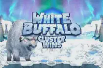 White Buffalo Казино Игра на гривны 🏆 1win Украина