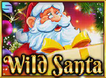 Wild Santa Казино Игра на гривны 🏆 1win Украина