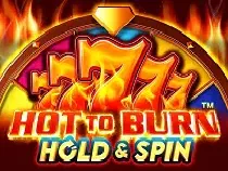 Hot to Burn Hold and Spin Казино Игра на гривны 🏆 1win Украина