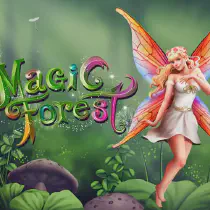 Magic Forest Казино Игра на гривны 🏆 1win Украина