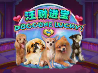 Doggone Lucky Казино Игра на гривны 🏆 1win Украина