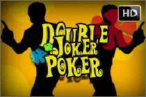 Double Joker Poker HD Казино Игра на гривны 🏆 1win Украина
