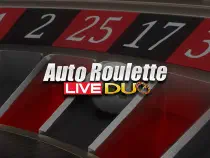 DUO LIVE Auto Казино Игра на гривны 🏆 1win Украина