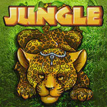 Jungle Казино Игра на гривны 🏆 1win Украина