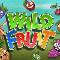 Wild Fruit Казино Игра на гривны 🏆 1win Украина