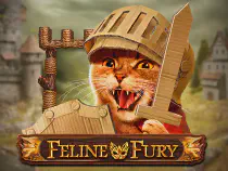 Feline Fury Казино Игра на гривны 🏆 1win Украина