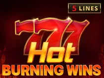 Hot Burning Wins Казино Игра на гривны 🏆 1win Украина