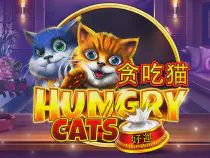Hungry Cats Казино Игра на гривны 🏆 1win Украина