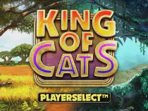 King of Cats Казино Игра на гривны 🏆 1win Украина