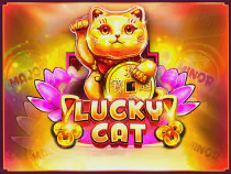 Lucky Cat Казино Игра на гривны 🏆 1win Украина