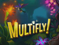 MultiFly! Казино Игра на гривны 🏆 1win Украина