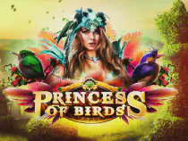 Princess of Birds Казино Игра на гривны 🏆 1win Украина