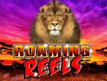 Roaming Reels RR Казино Игра на гривны 🏆 1win Украина