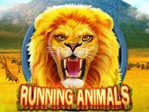 Running Animals Казино Игра на гривны 🏆 1win Украина