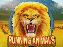 Running Animals Казино Игра на гривны 🏆 1win Украина