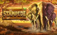 Stampede 🐘 Игровой автомат в дикой природе на 1win
