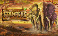 Stampede 🐘 Игровой автомат в дикой природе на 1win