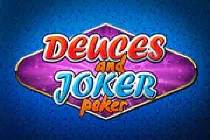 Deuces And Joker Poker 1win 🃏 Мастерство и удача в мире карт