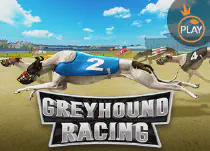 Greyhound Racing Казино Игра на гривны 🏆 1win Украина
