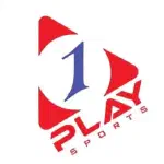 1play - производитель игр в казино 1вин