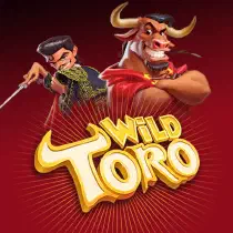 Wild Toro Казино Игра на гривны 🏆 1win Украина