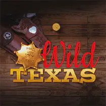 Wild Texas Казино Игра на гривны 🏆 1win Украина